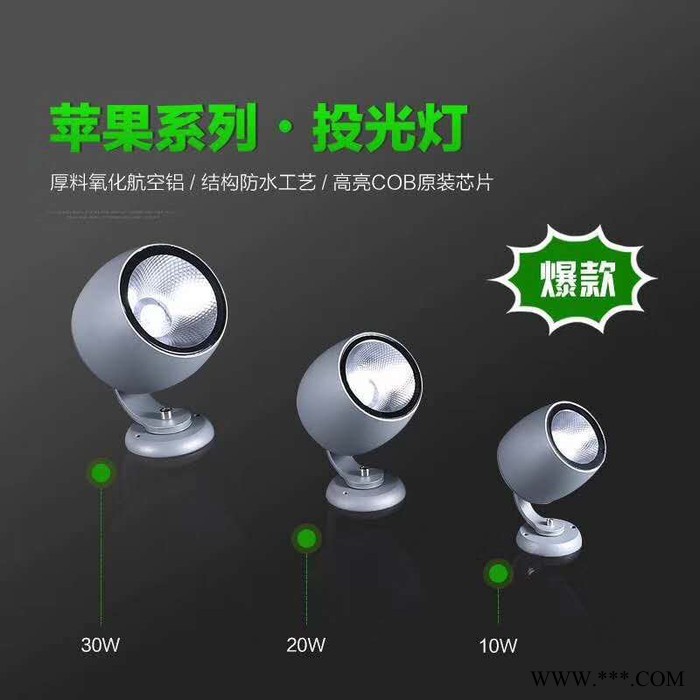 聚亮光电大功率投光灯洗墙灯  工程专用产品-临沂聚亮光电 鑫伟莱投光灯图4