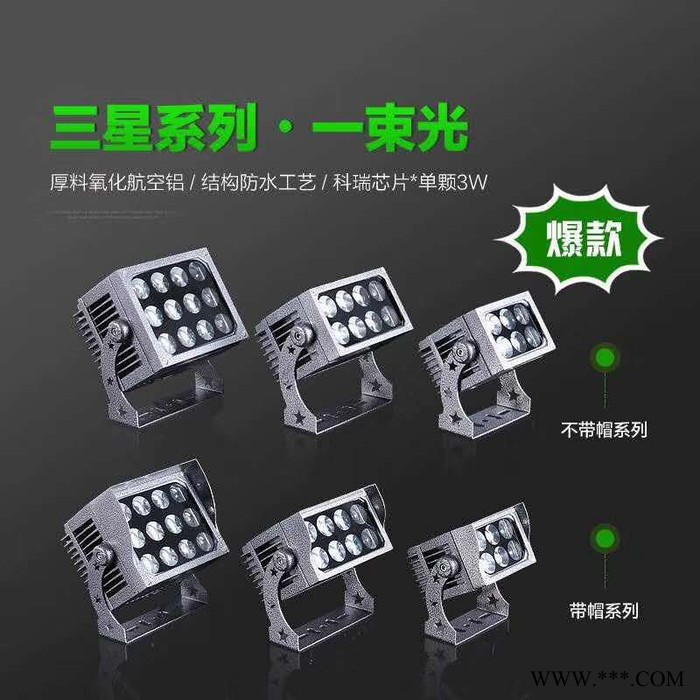 聚亮光电大功率投光灯洗墙灯  工程专用产品-临沂聚亮光电 鑫伟莱投光灯图8