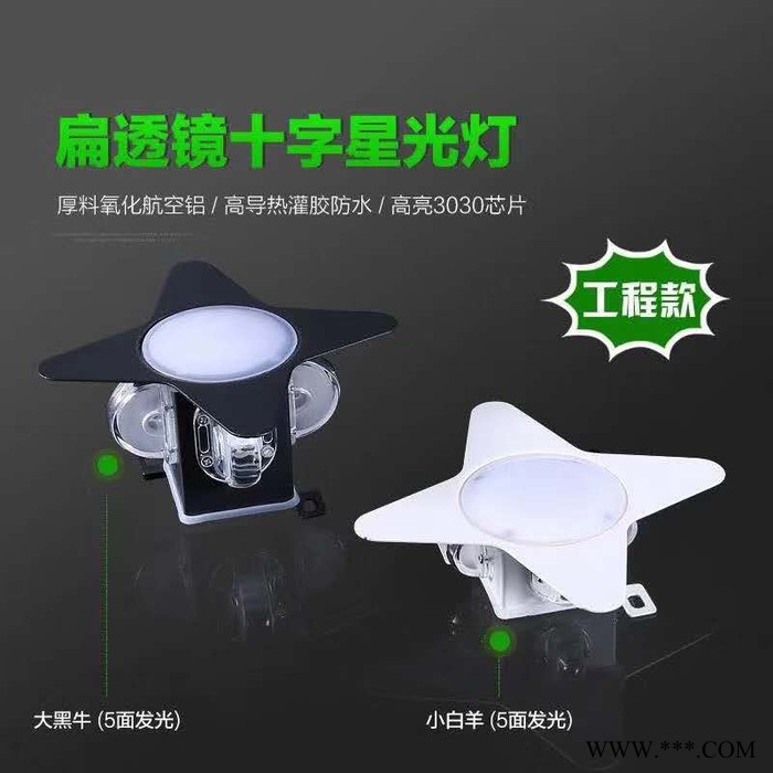 聚亮光电大功率投光灯洗墙灯  工程专用产品-临沂聚亮光电 鑫伟莱投光灯图7