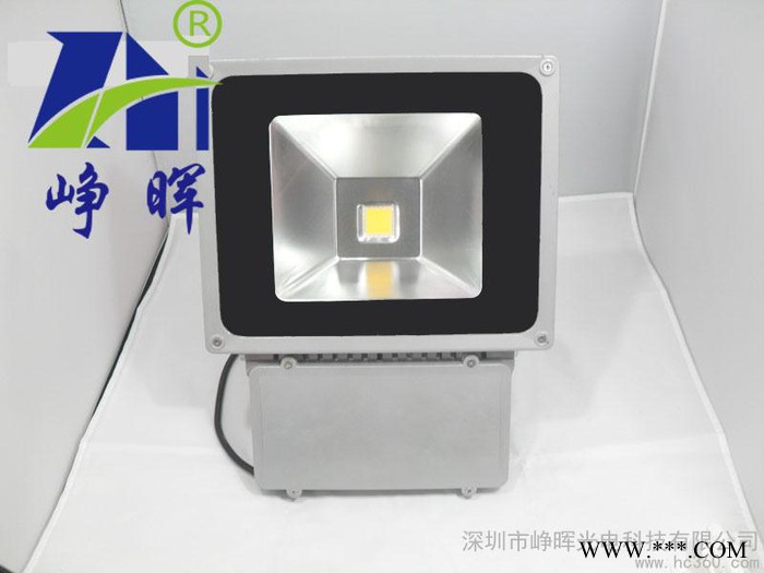 供应峥晖ZH-100WLED 投光灯