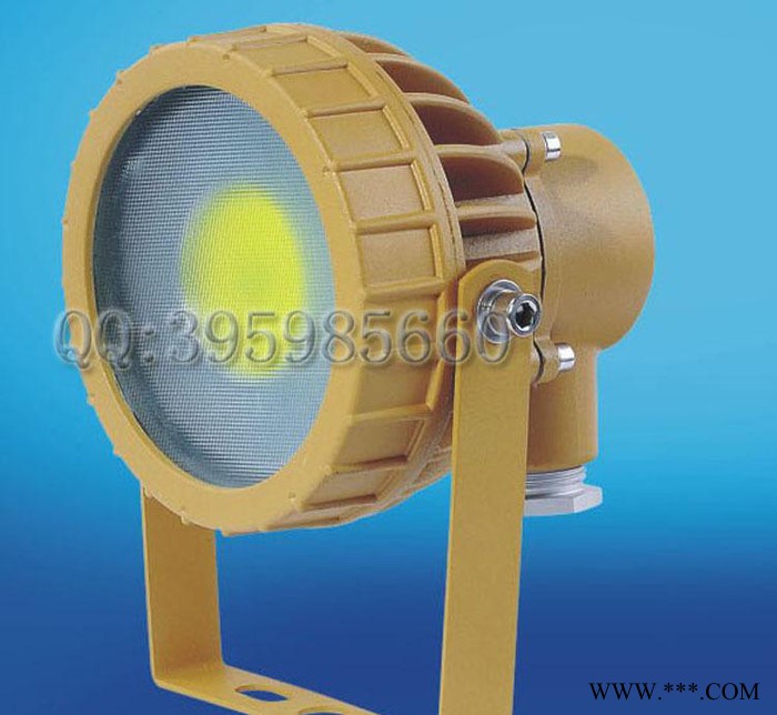 LED防爆免维护石油化工LED小型泛光灯 钢铁码头30W投光图1