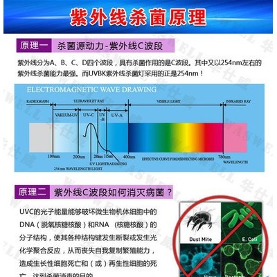 授权代理 美国KADIND 低臭氧紫外线杀菌灯管GPH843T5L/40W 包损