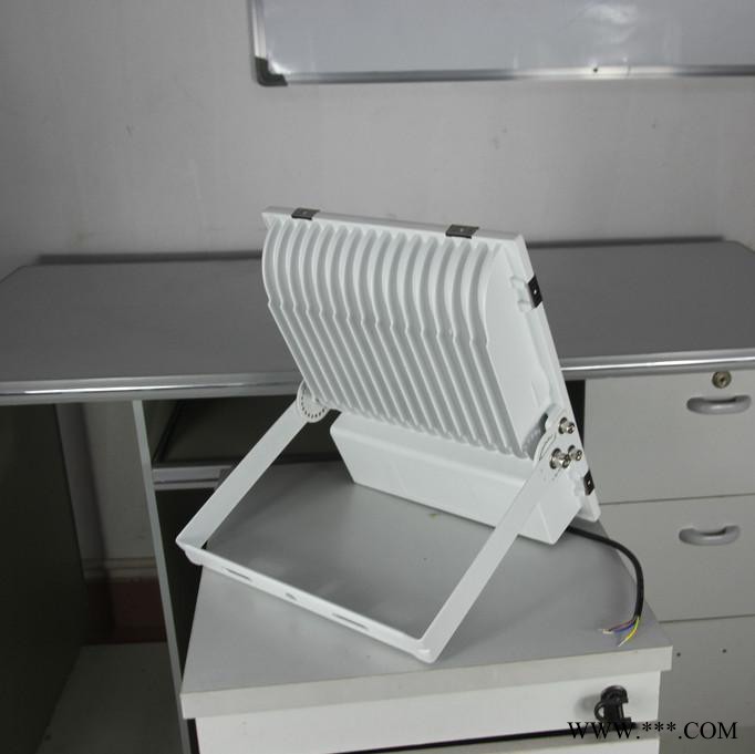 东达华ZS-SMD-100-NA 投光灯led投光灯30W100W150W投射灯广告招牌防水泛光灯户外草坪照明灯具图2