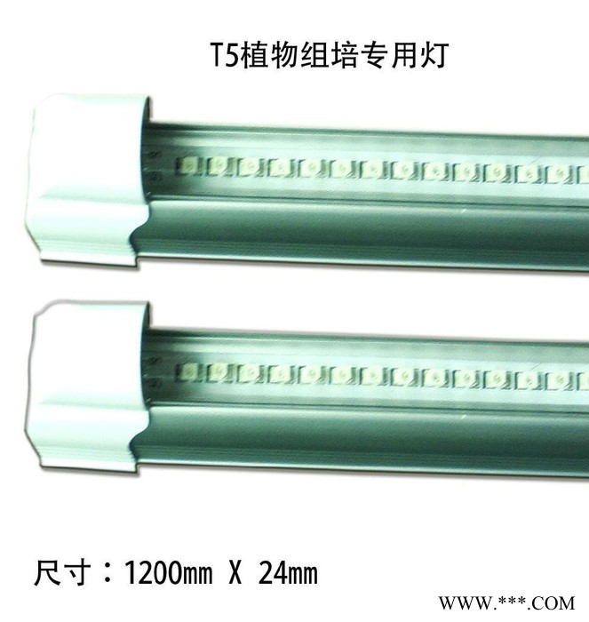 供应伟信力T5  T8LED植物组培T8 T5灯管图3