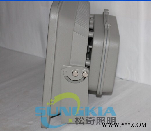 SK高性价比LED投光灯SK-聚光120W图3