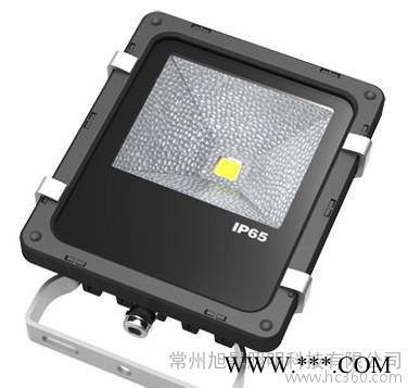 【直销】旭昇LED投光灯 LED灯 TG10S 特价图1