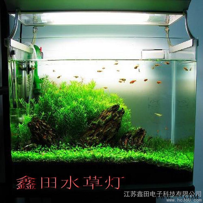 供应鑫田T5T8T9T5HO生态鱼缸用灯，壁挂水族箱灯管图3