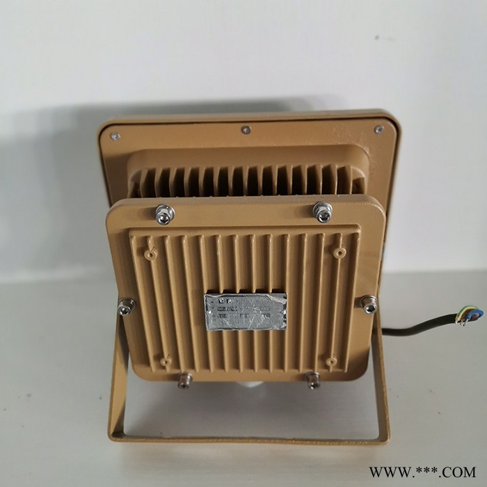 【德奥】9103 加油站LED防爆泛光灯 液化气站防爆灯100W200W图2