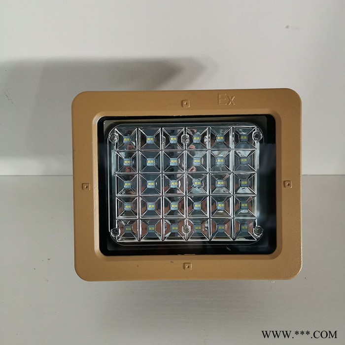 【德奥】9103 加油站LED防爆泛光灯 液化气站防爆灯100W200W图4