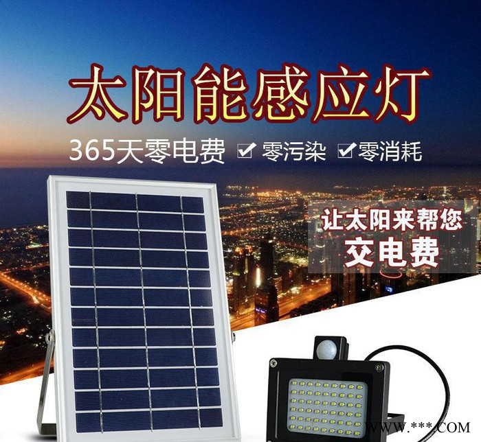 新款太阳能人体感应投光灯 户外照明路灯 花园庭院草坪灯直销