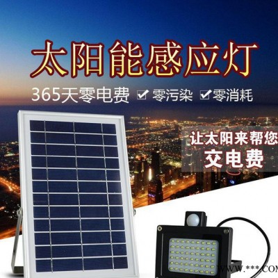 新款太阳能人体感应投光灯 户外照明路灯 花园庭院草坪灯直销