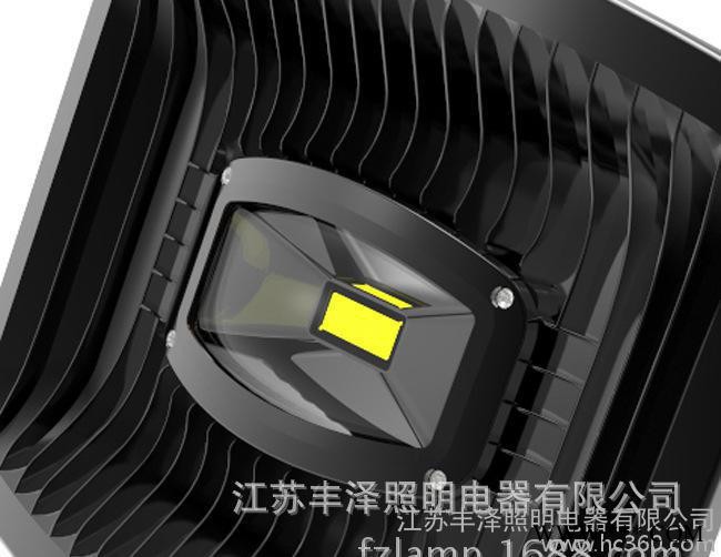 led路灯60w  江苏丰泽专业生产60WLED投光灯图2
