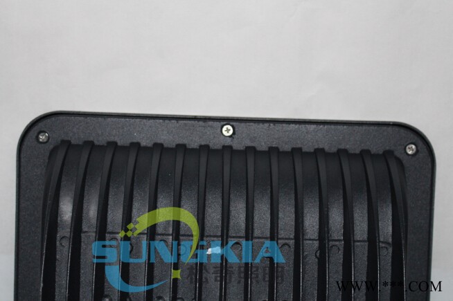 SK供应LED投光灯SK-TG01-100W厂家批发图4