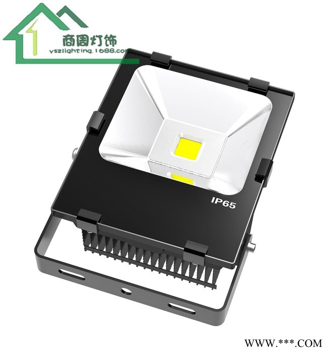 直销50W户外LED防水投光灯超频三泛光灯集成贴片工程专用图2