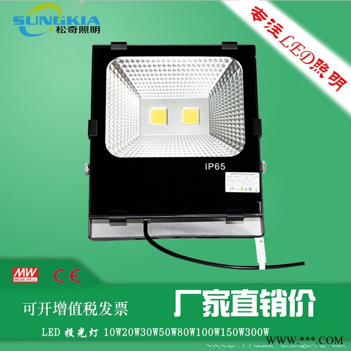 SK供应高性价比TG-F13-150W 集成泛光灯足功率室外广告牌专用灯 直销厂家图4