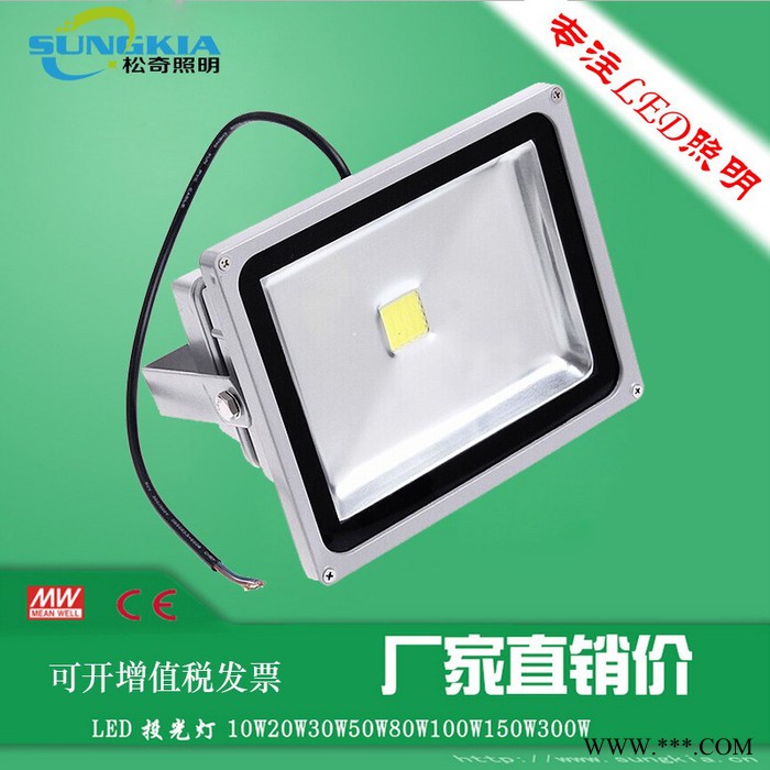 SK长久供应喷泉照明专用TG-F2-20W 20W常规款投光灯图1
