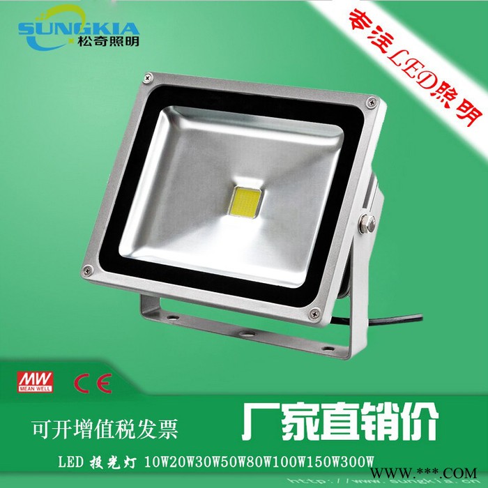 SK长久供应喷泉照明专用TG-F2-20W 20W常规款投光灯图2