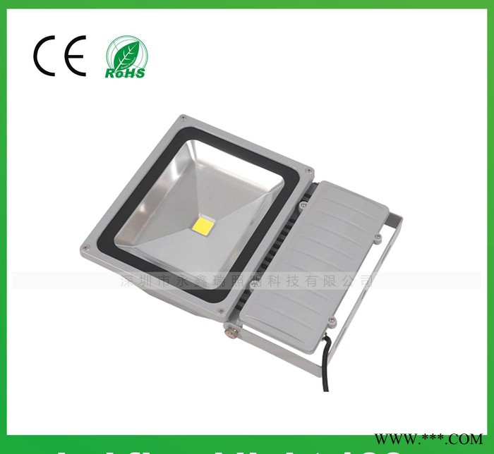100W户外泛光灯 10W-400W可选择 多功能可做调光图2