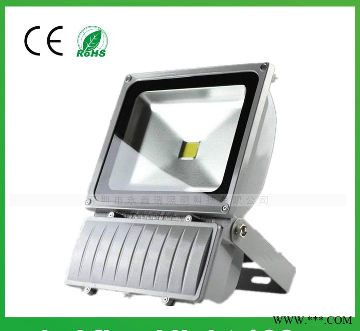 100W户外泛光灯 10W-400W可选择 多功能可做调光图1