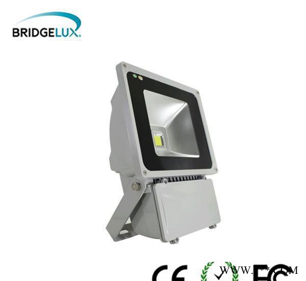 生产高品质LED60W 投光灯 欢迎咨询选购  直销 比速光电图2