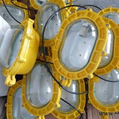 依客思BFC8120-J70内场防爆强光泛光灯**