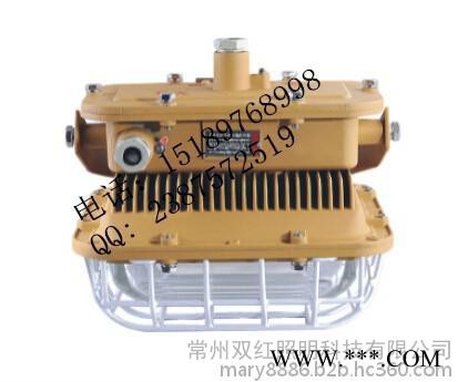 SBD1101-YQL40/50免维护节能防爆灯 SBF6101防水防尘  防爆泛光灯图1