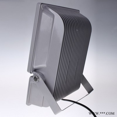 100W防水户外LED投光灯 室外灯 广告灯50W 隧道投射工矿灯