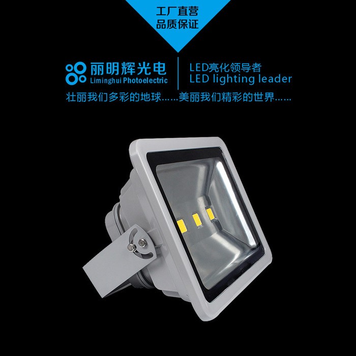100W防水户外LED投光灯 室外灯 广告灯50W 隧道投射工矿灯图3