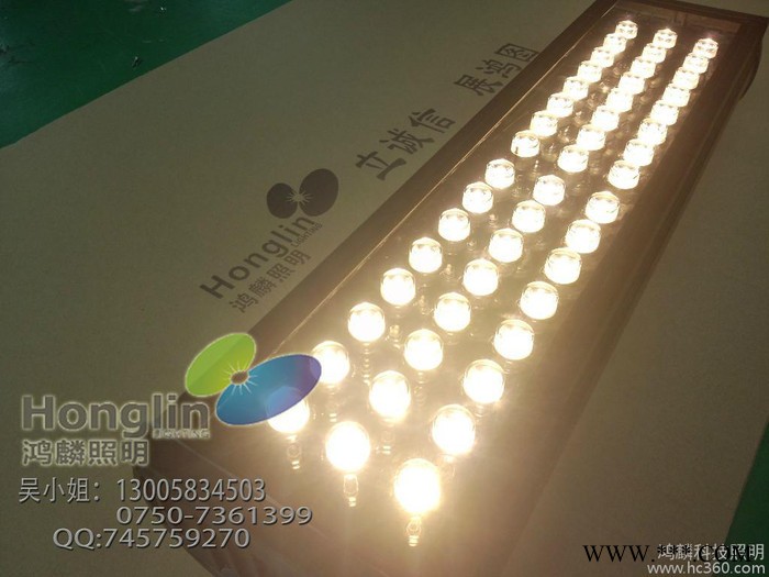 供应鸿麟照明HL-TGD-48W投光灯,户外灯具图3