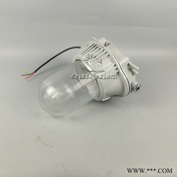 金属卤化物灯具 防水防尘灯 防眩泛光灯 吸顶壁式三防吸顶灯 护栏式照明灯图3