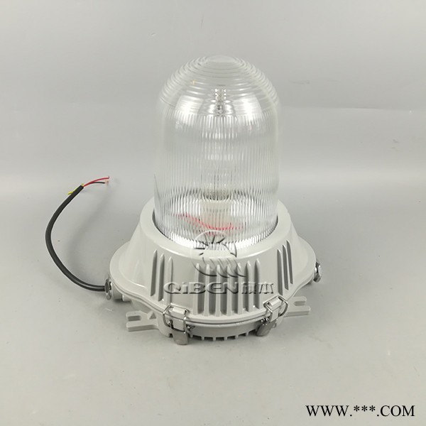 金属卤化物灯具 防水防尘灯 防眩泛光灯 吸顶壁式三防吸顶灯 护栏式照明灯图1