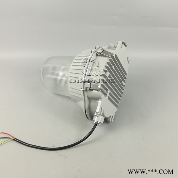 金属卤化物灯具 防水防尘灯 防眩泛光灯 吸顶壁式三防吸顶灯 护栏式照明灯图2