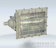 供应DCT系列防爆泛光灯(ⅡＢ、ⅡＣ)防爆灯具，防爆泛光灯，防爆投光灯，图1