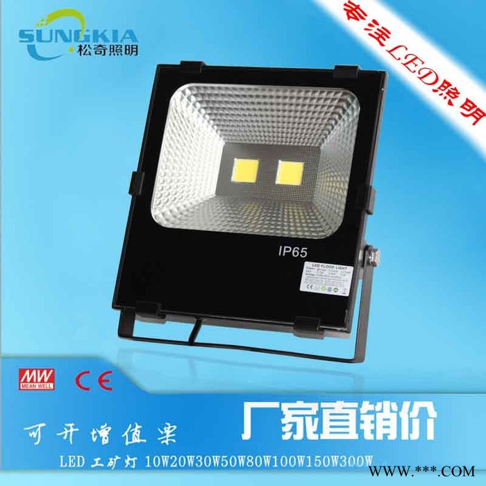 SK厂家供应广告牌专用泛光灯 TG-F13-30W 自己开模的款式图6