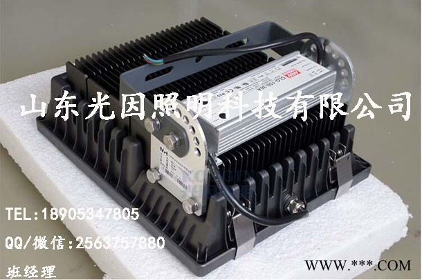 光因**led投光灯|led投射灯价格|led聚光灯规格|led隧道灯厂家图3