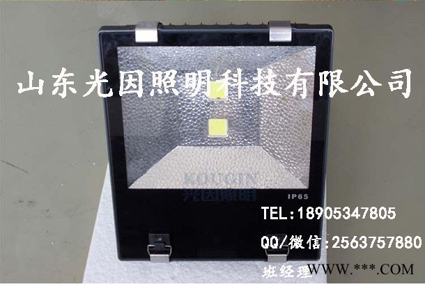 光因**led投光灯|led投射灯价格|led聚光灯规格|led隧道灯厂家图2