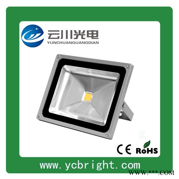 户外景观亮化大功率50W 集成光源LED投光灯LED泛光灯图2