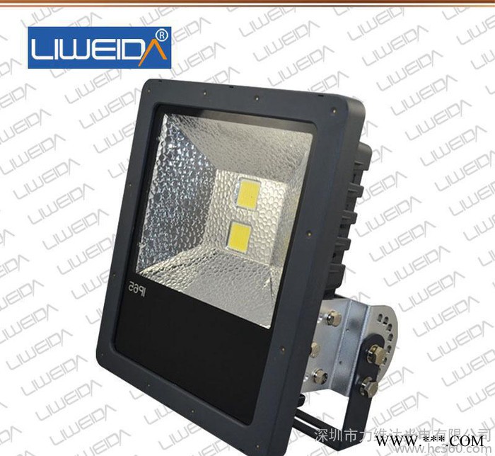 IP65 投光灯  LVF0006D-100B图2
