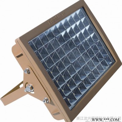 高效节能80W防爆LED泛光灯 隔爆型LED泛光灯