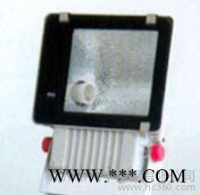 2013品牌促销 GY-T3675型 大功率投光灯图3