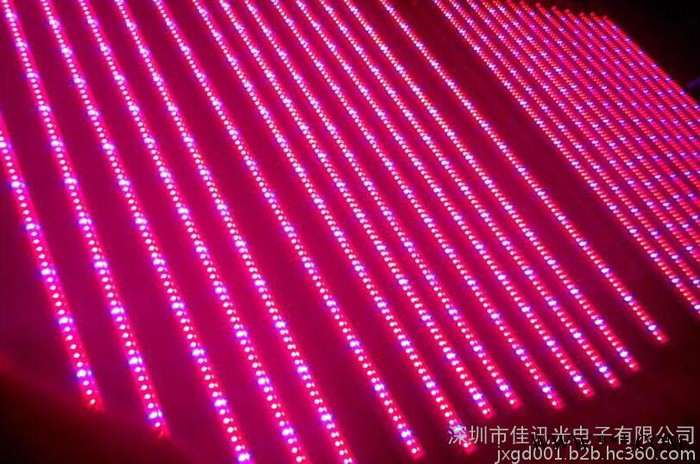 佳讯植物生长灯灯管图5