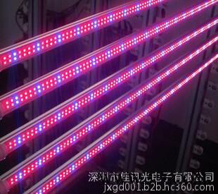 佳讯植物生长灯灯管图4