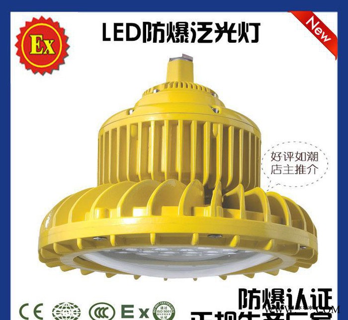 底价供应80W/100W/120WLED防爆泛光灯 平台灯 投光灯 铸铝合金外壳 表面喷塑图2