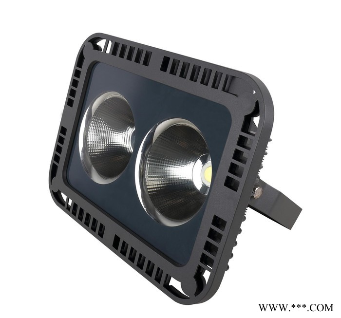 LEDCOB投光灯泛光灯照树灯厂房灯投射灯广告灯仓库灯船舶灯图2