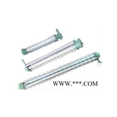 防爆灯 1x40W单管2X40W双管防爆日光管灯 LEd 灯管防爆灯