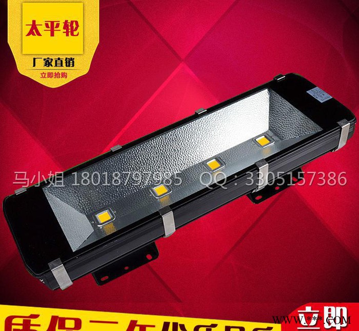 LED投光灯 隧道灯泛光灯路灯厂房灯户外室外防水100W20图1