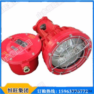 恒旺**DGS175/127B(A)矿用投光灯防爆投光灯地下煤矿施工照明**价格