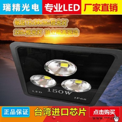 瑞精光电RJ-TG100 A投光灯