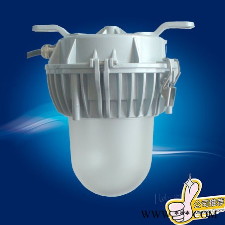 华宏nfc9183 nfc9183LED防眩泛光灯 发掘世界之光图3