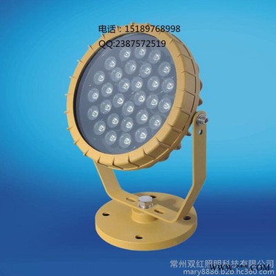 BRE8639防爆免维护LED投光灯/泛光灯20W30W40W50W60W70W80W